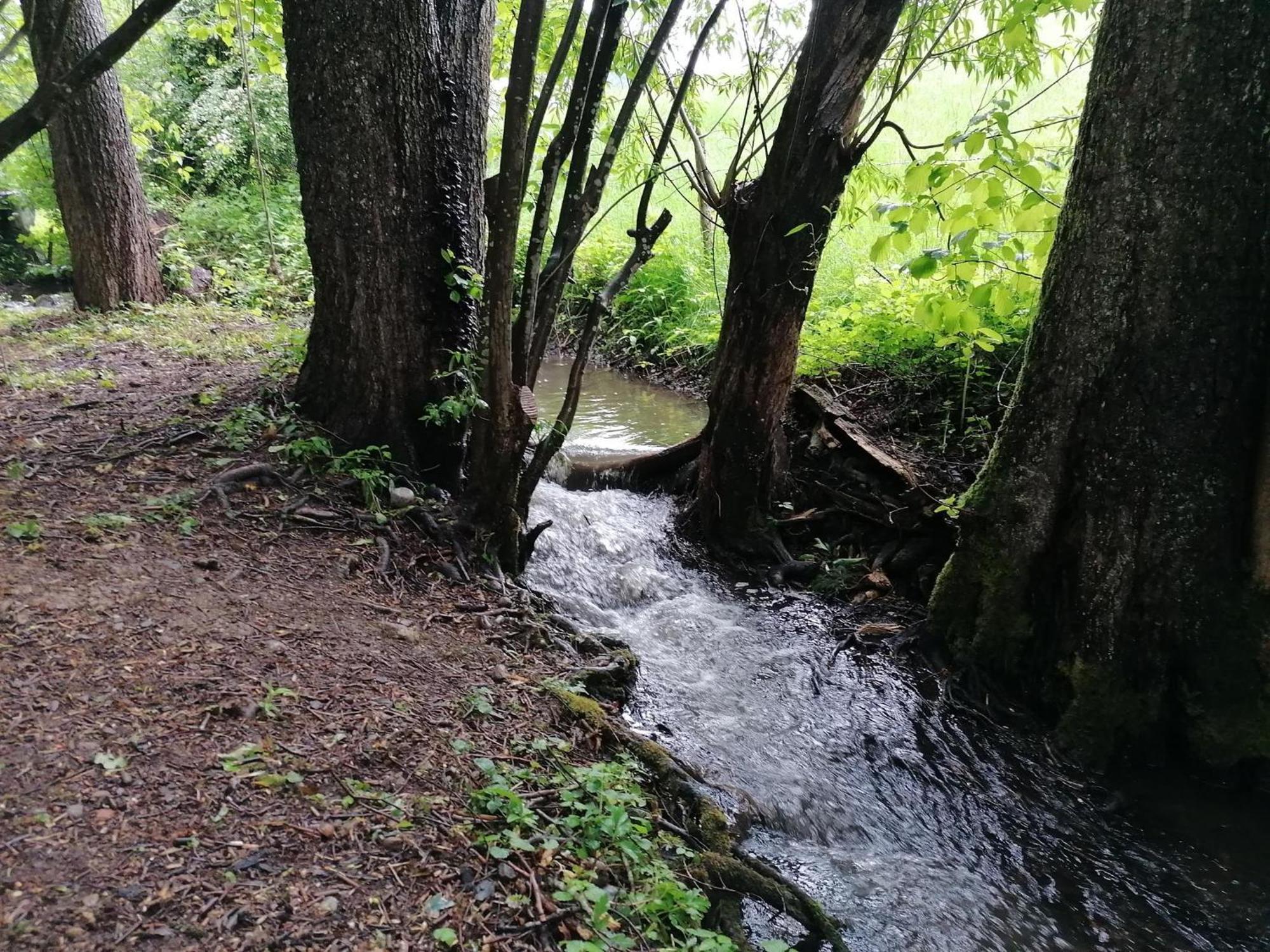 Ferienwohnung "Am Seebach" 阿尔高的万根 外观 照片
